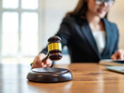 Carmen Josefina Lopez Arismendi:Profissão Jurídica